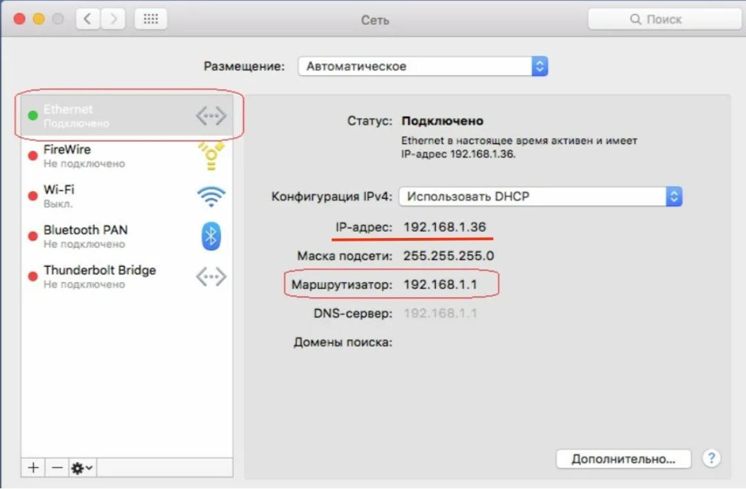 Как посмотреть IP-адрес компьютера на Mac OS