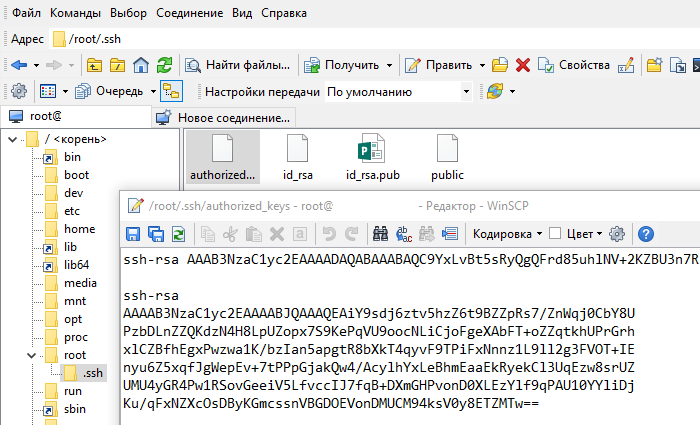 Сохранение ключа в файле в WinSCP