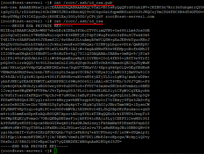 Cat rsa pub. SSH ключ. Генерация публичного SSH ключа. Как выглядит открытый ключ SSH. ID_RSA.pub как выглядит.