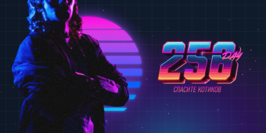 256DAY: спасите котиков